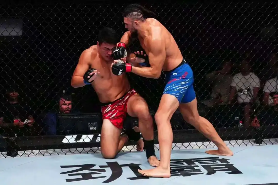 UFC排名