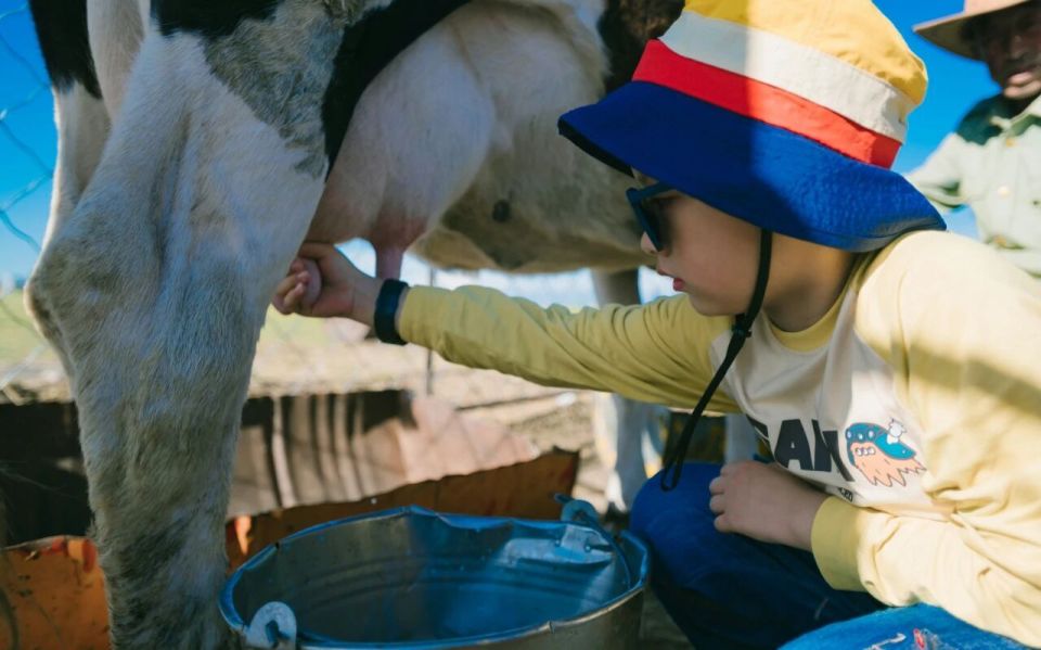 想到的不仅, 球超级联赛